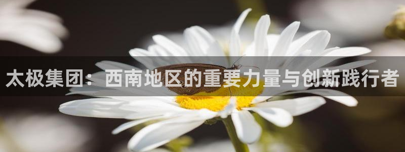 九游会老哥:太极集团:西南地区的重要力量与创新践行者